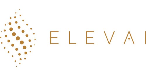 Elevai Labs logo