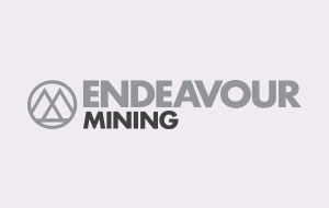 EDV stock logo