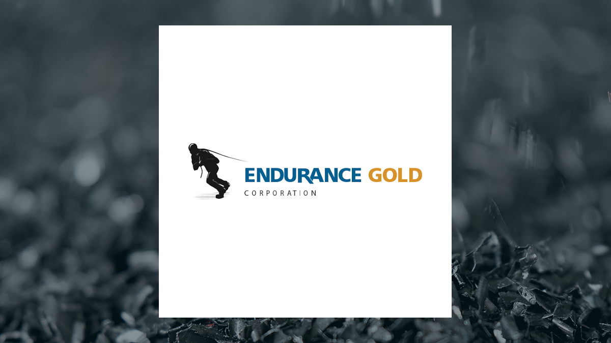Endurance Gold logo