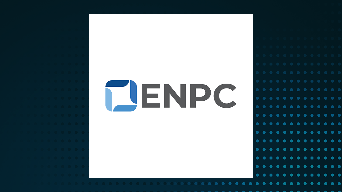Executive Network Partnering logo
