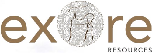 ERX stock logo