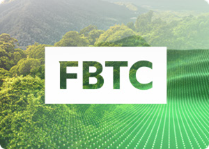 FBTC stock logo