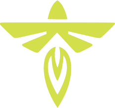 Firefly Aerospace (NASDAQ:FLY) Price Target Lowered to $35.00 at Cantor ...