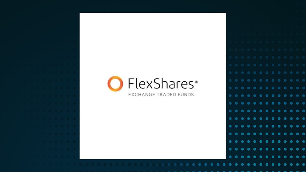 FlexShares Morningstar Developed Markets ex-US Factor Tilt Index Fund logo