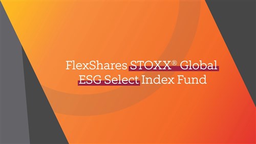 FlexShares STOXX Global Broad Infrastructure Index Fund logo
