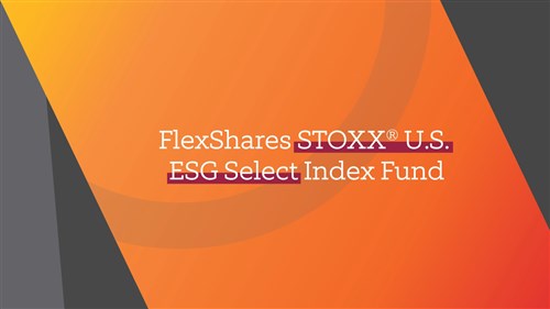 FlexShares STOXX US ESG Select Index Fund logo