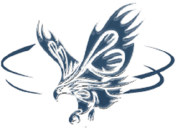 Flying Eagle Acquisition  logo