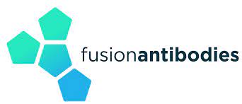 Fusion Antibodies (LON:FAB) Stock Price Down 4.2% - Vimarsana News