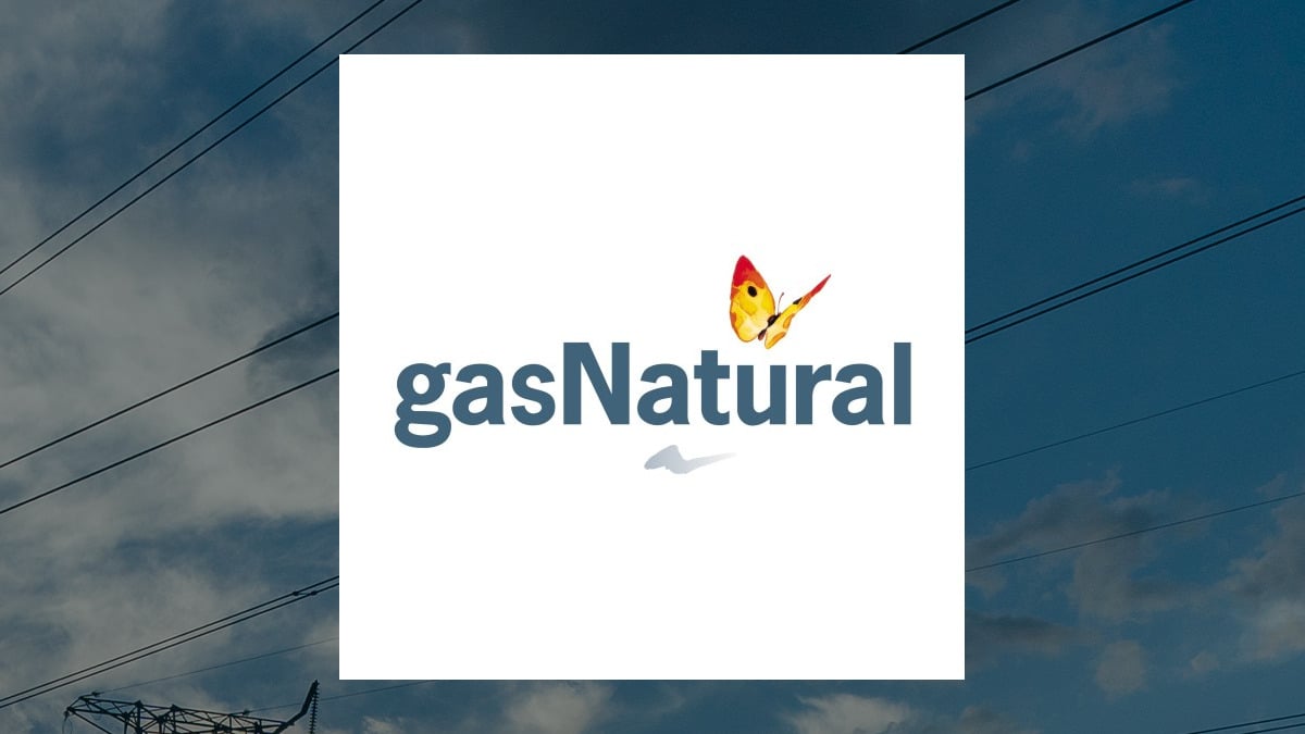 Naturgy Energy Group logo