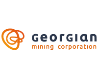 GEO stock logo