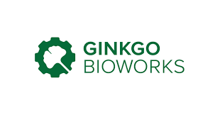 Ginkgo Bioworks stock logo