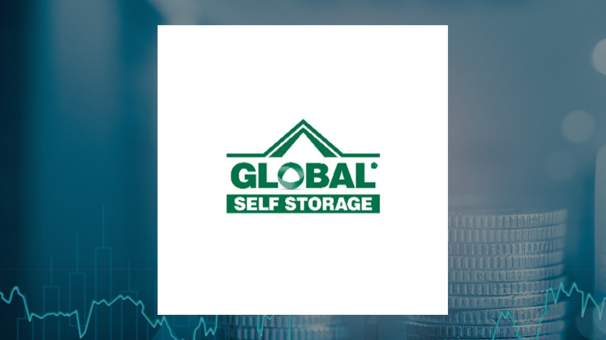 Global Self Storage logo