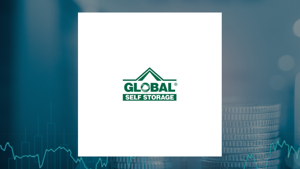 Global Self Storage logo