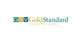 Gold Standard Ventures (TSE:GSV) Shares Up 14.3% - Vimarsana News