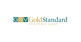 GSV stock logo