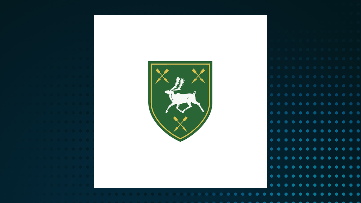 Hennessy Capital Investment Corp. VIII logo