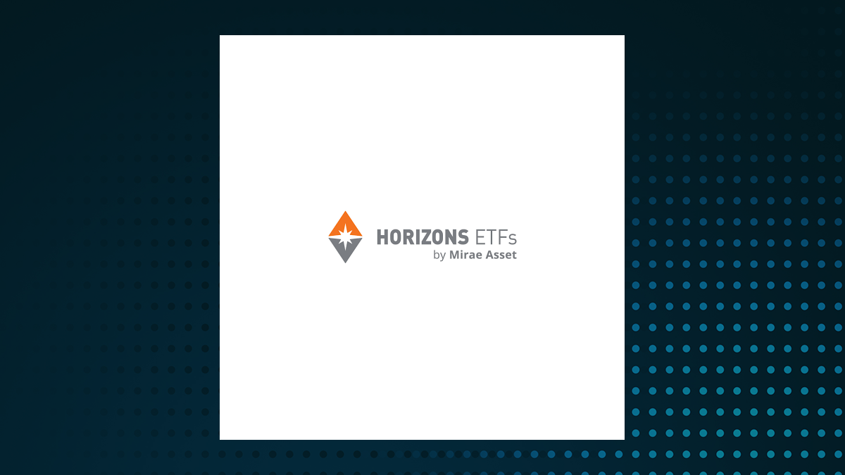 Horizons Intl Developed Markets Equity Index ETF logo