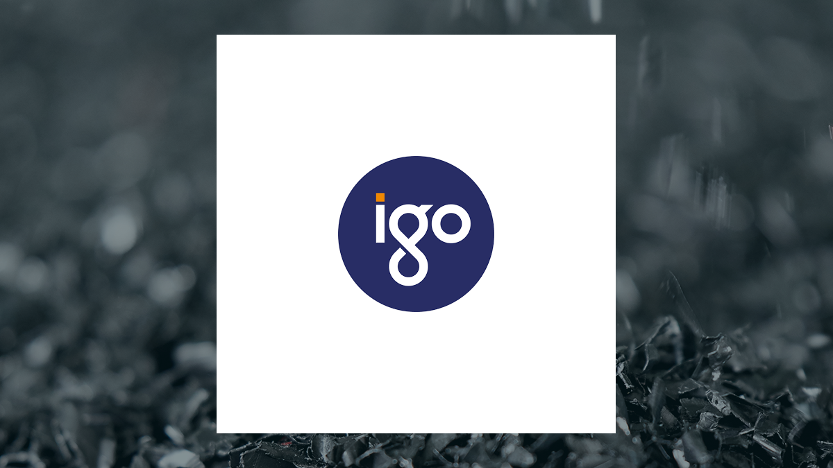 IGO logo