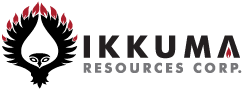 IKM stock logo
