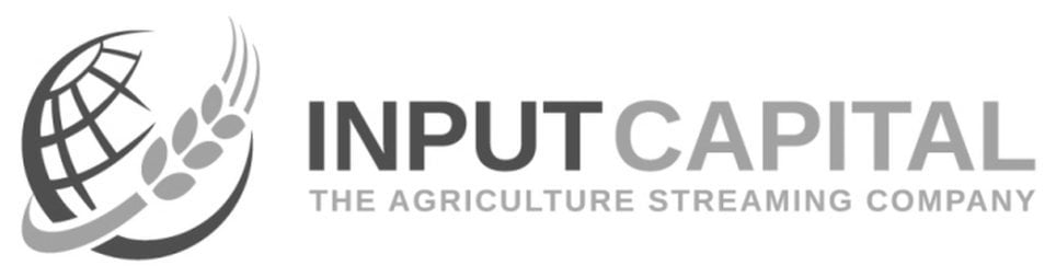 Input Capital logo