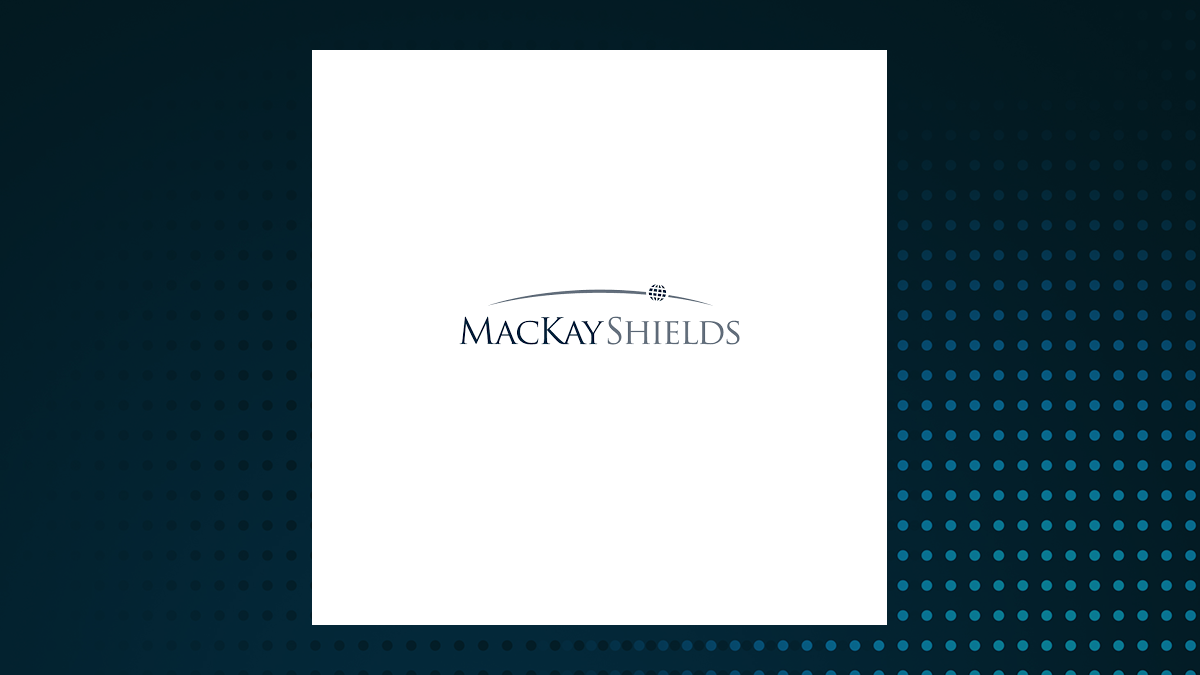 IQ MacKay Municipal Insured ETF logo