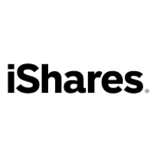 long-term-dmxf-etf-growth-analysis