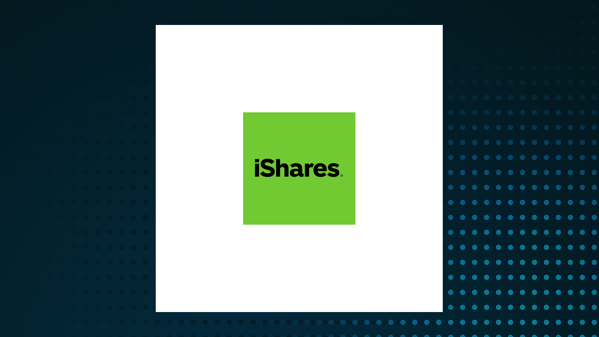 iShares iBonds Dec 2028 Term Corporate ETF logo