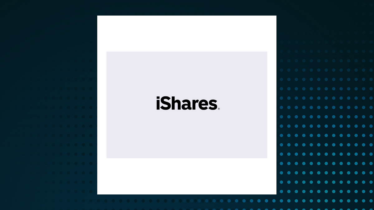 iShares MSCI All Country Asia ex Japan ETF logo