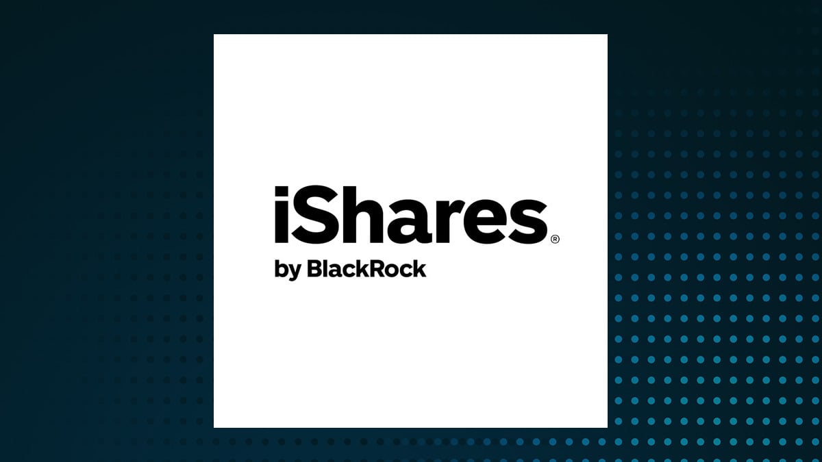 iShares MSCI EAFE Value ETF logo