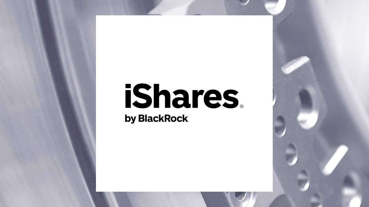 iShares MSCI Europe Small-Cap ETF logo