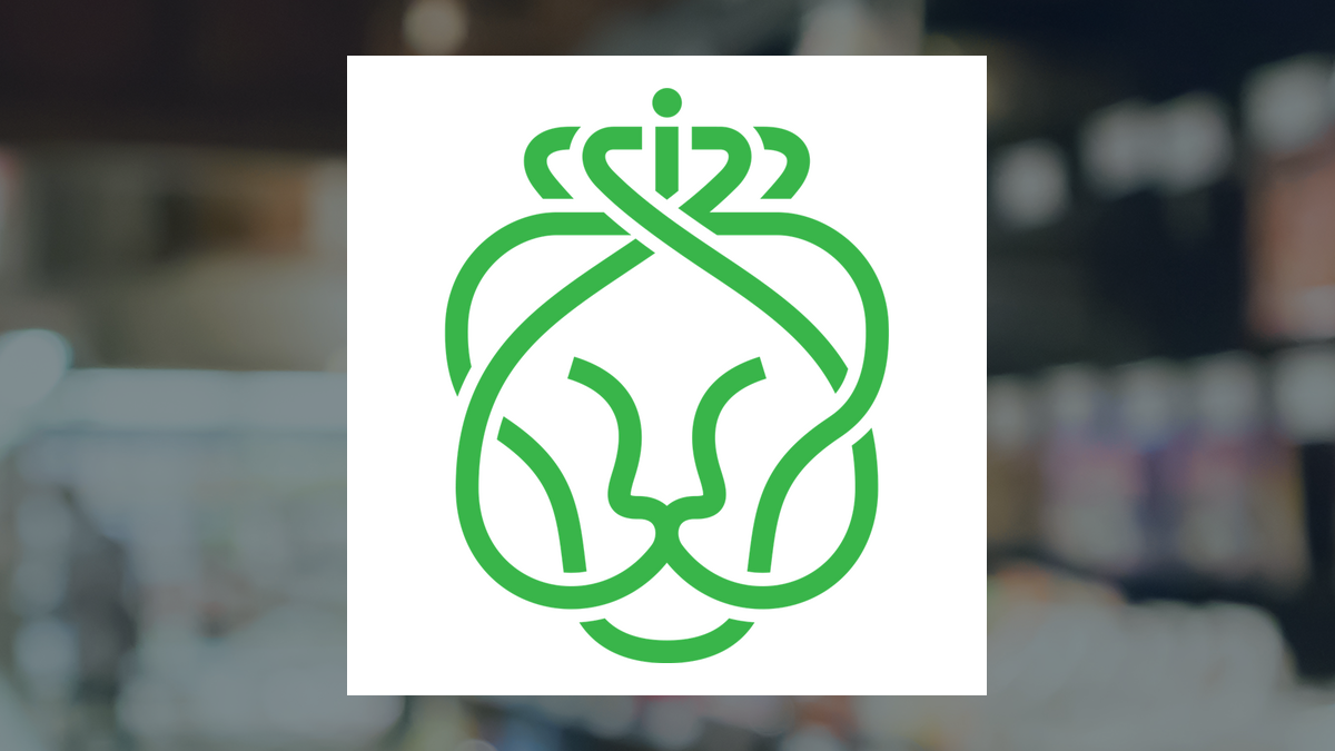 Koninklijke Ahold Delhaize logo