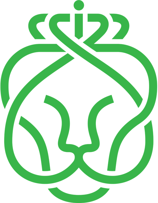 Koninklijke Ahold Delhaize logo