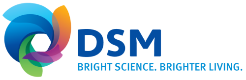 RDSMY stock logo
