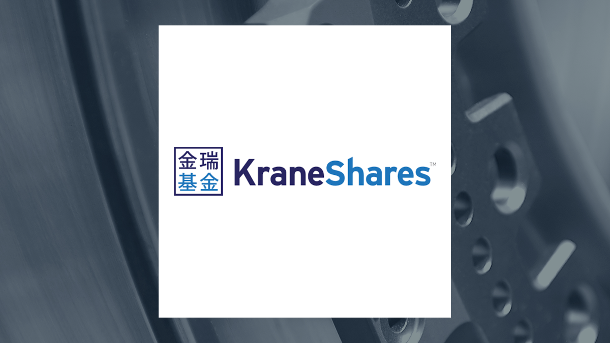 KraneShares CSI China Internet ETF logo