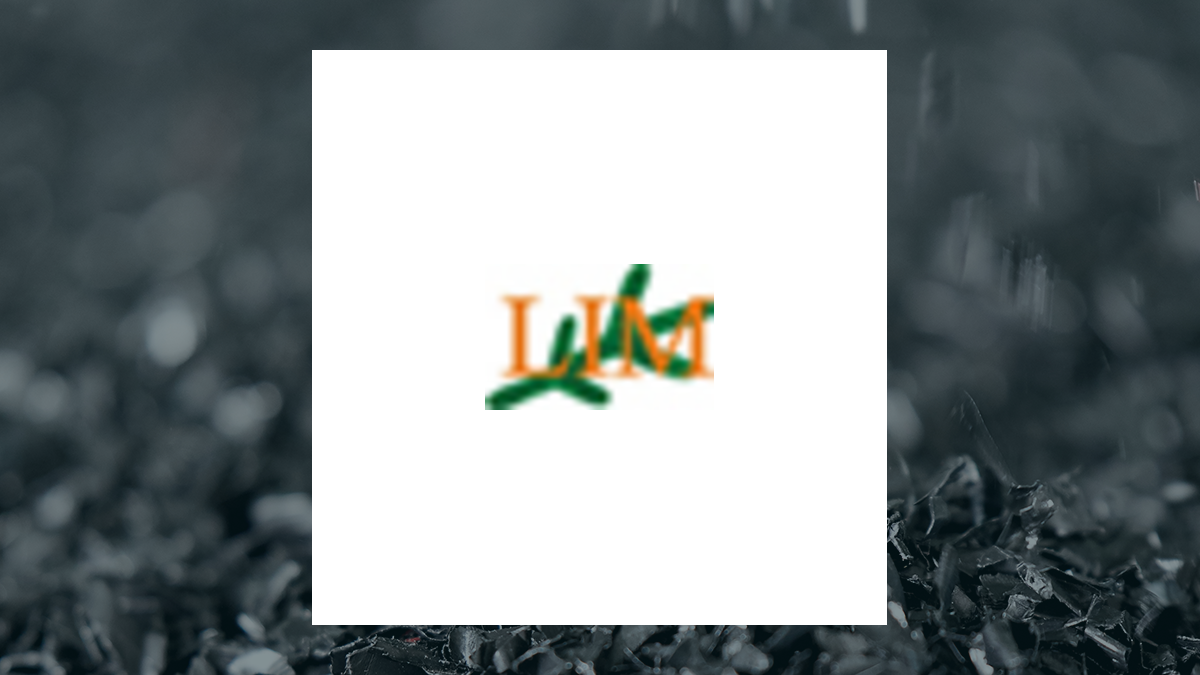 Labrador Iron Mines logo