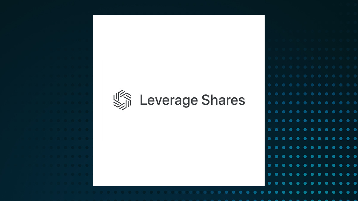 Leverage Shares 2x Long PANW Daily ETF logo
