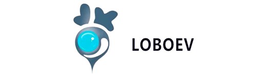 Lobo EV Technologies stock logo
