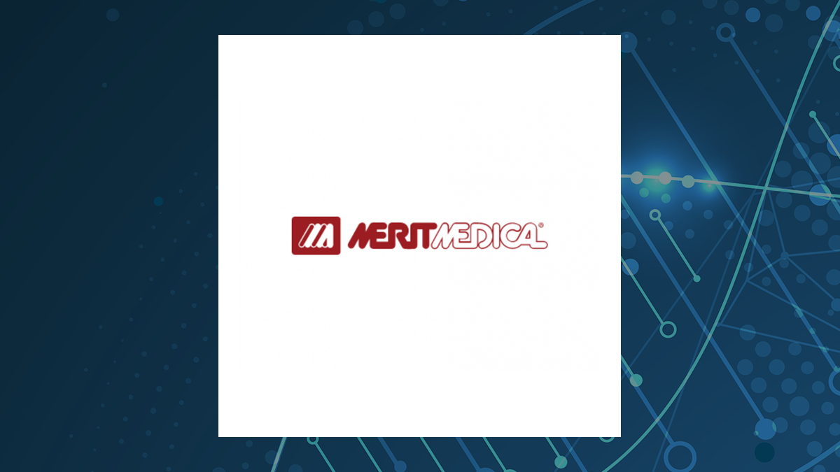 Merit Medical Systems logo
