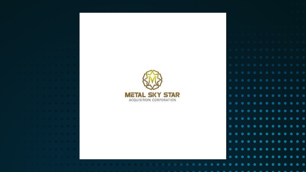 Metal Sky Star Acquisition logo