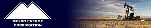 SandRidge Energy (NYSE:SD) vs. Mexco Energy (NYSE:MXC) Financial Survey - Vimarsana News