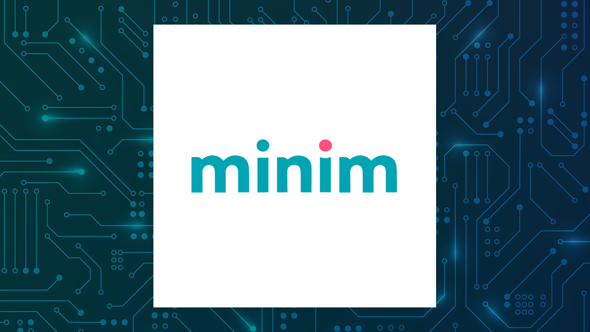 Critical Analysis: Minim (NASDAQ:FIEE) vs. HMS Networks AB (publ ...