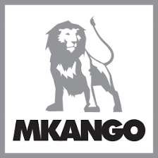 Mkango Resources (CVE:MKA) Sets New 12-Month Low at $0.16 - Vimarsana News