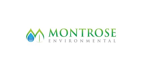 Lichen China (NASDAQ:LICN) and Montrose Environmental Group (NYSE:MEG) Head-To-Head Comparison - Vimarsana News