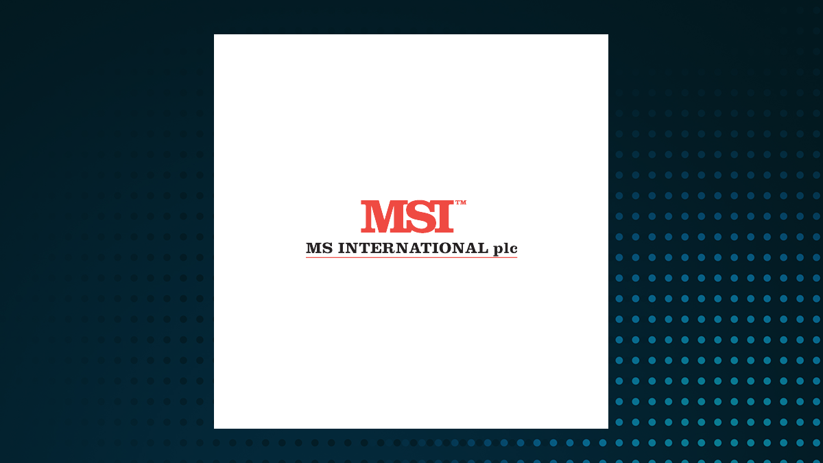 MS INTERNATIONAL logo