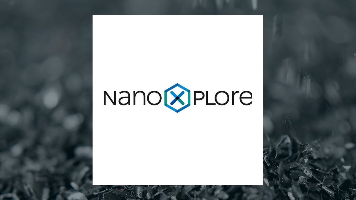 NanoXplore logo