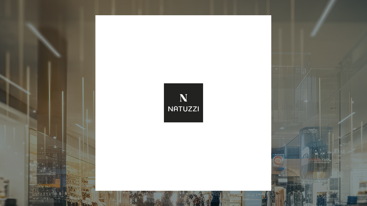 Natuzzi logo with Consumer Discretionary background