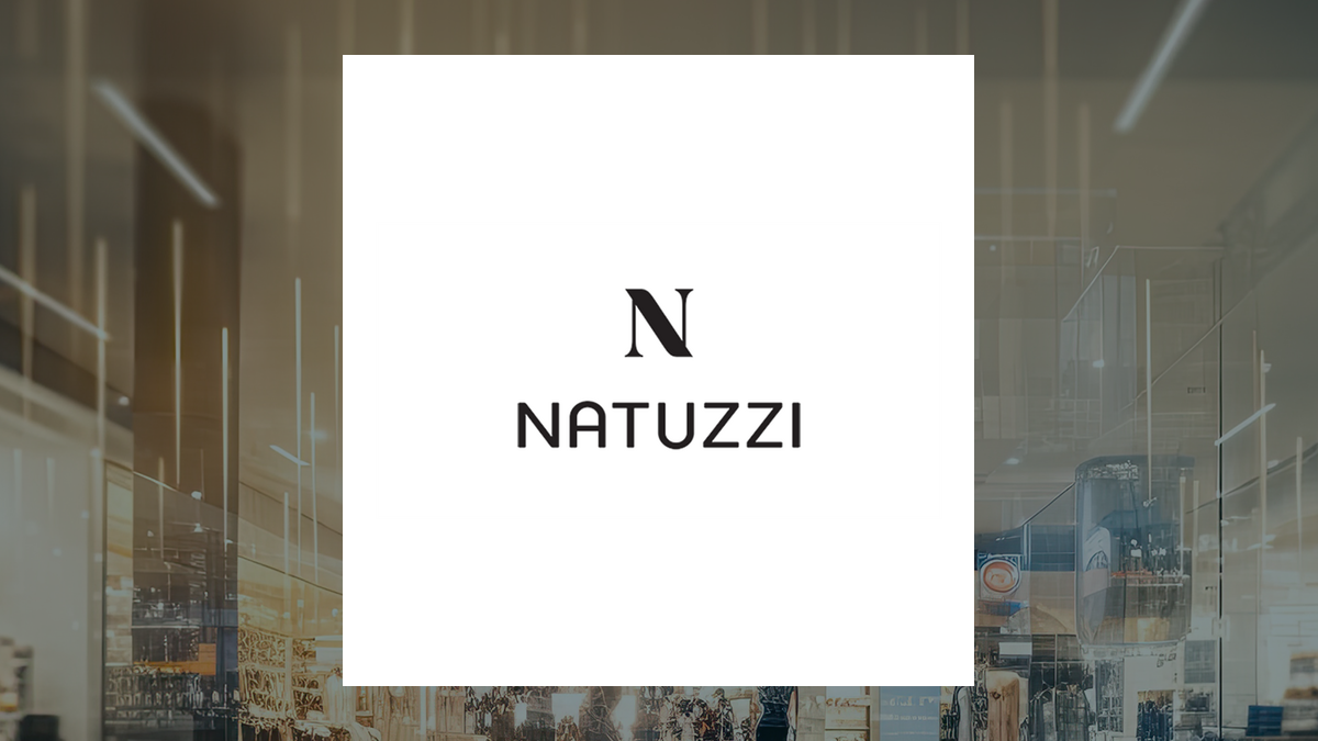 Natuzzi logo