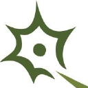 NGENF stock logo