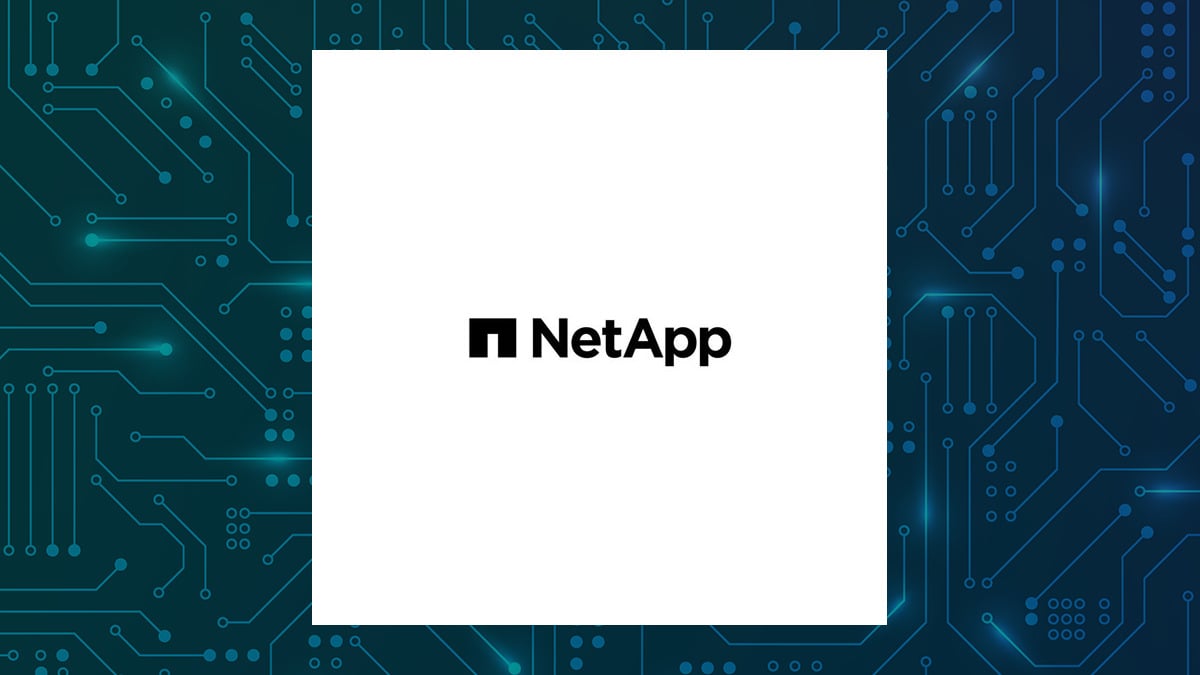 NetApp logo