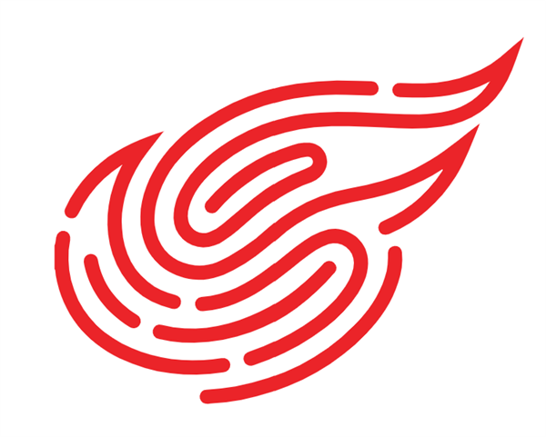 NetEase, Inc. logo